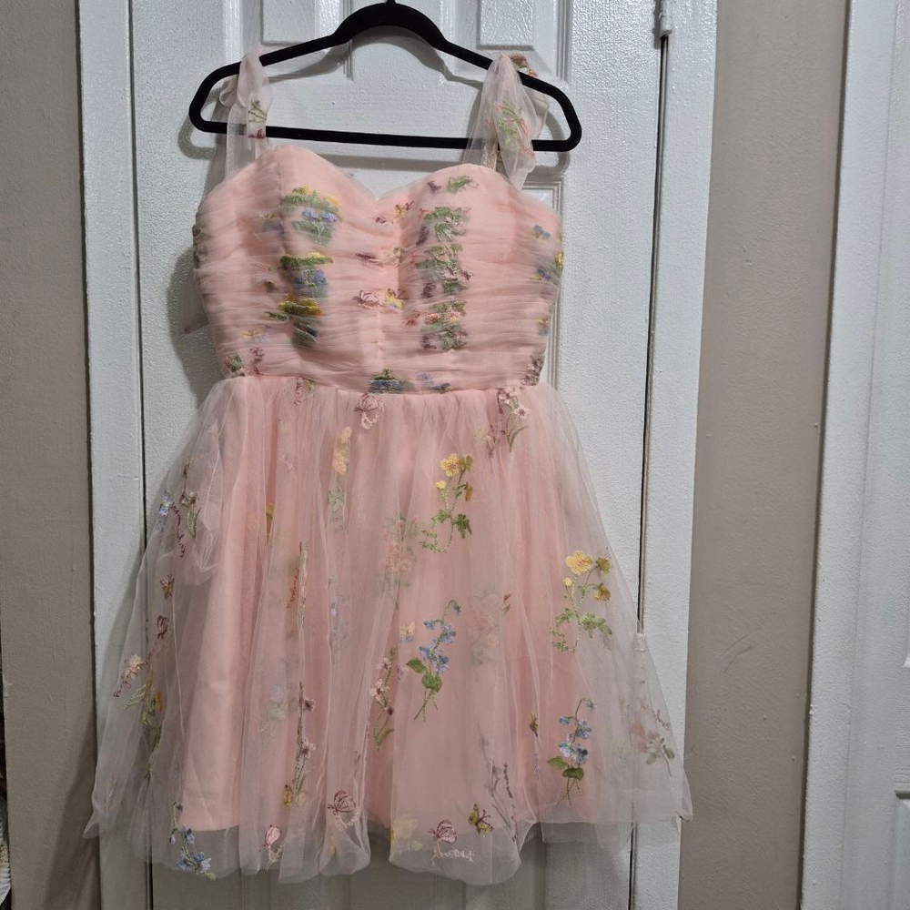 Women's Pink Floral Embroidered Mini Dress sz 12 nwot - Picture 2 of 10